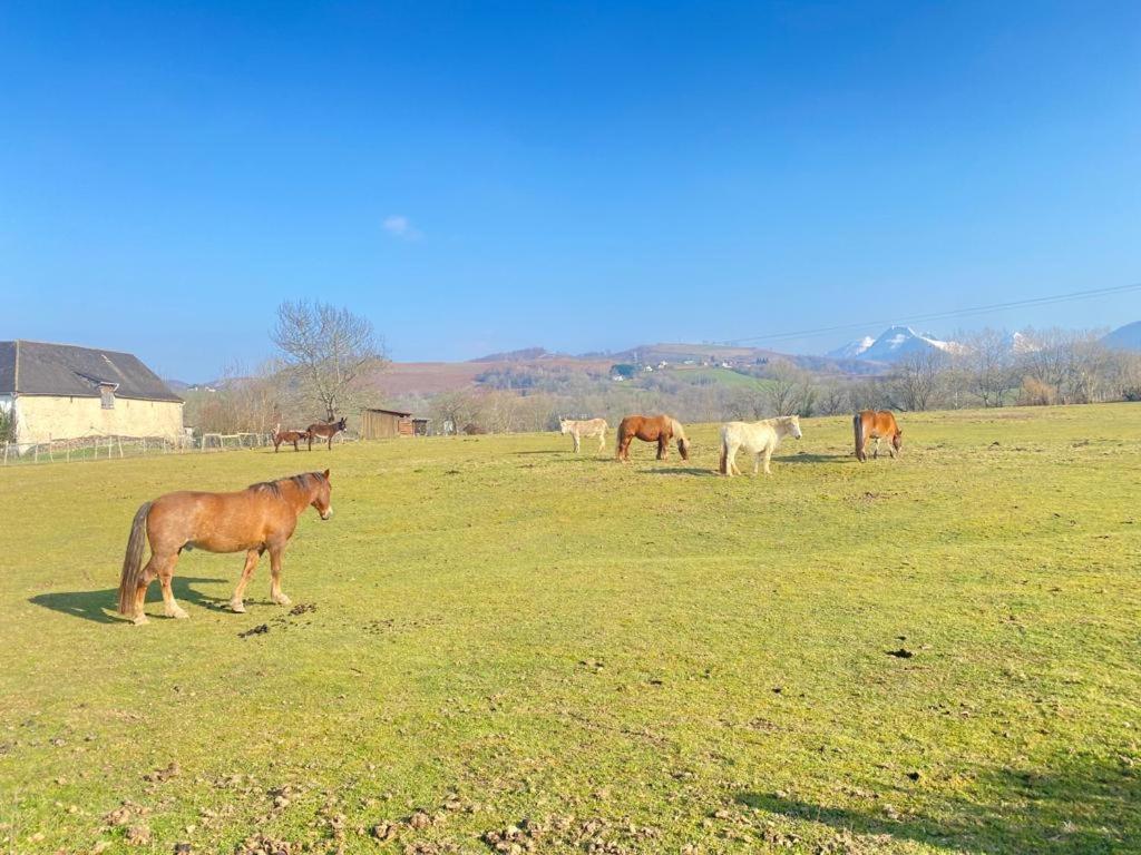 Chateau Porthos Tranquillite Des Pyrenees Villa Lanne-en-Baretous Eksteriør billede